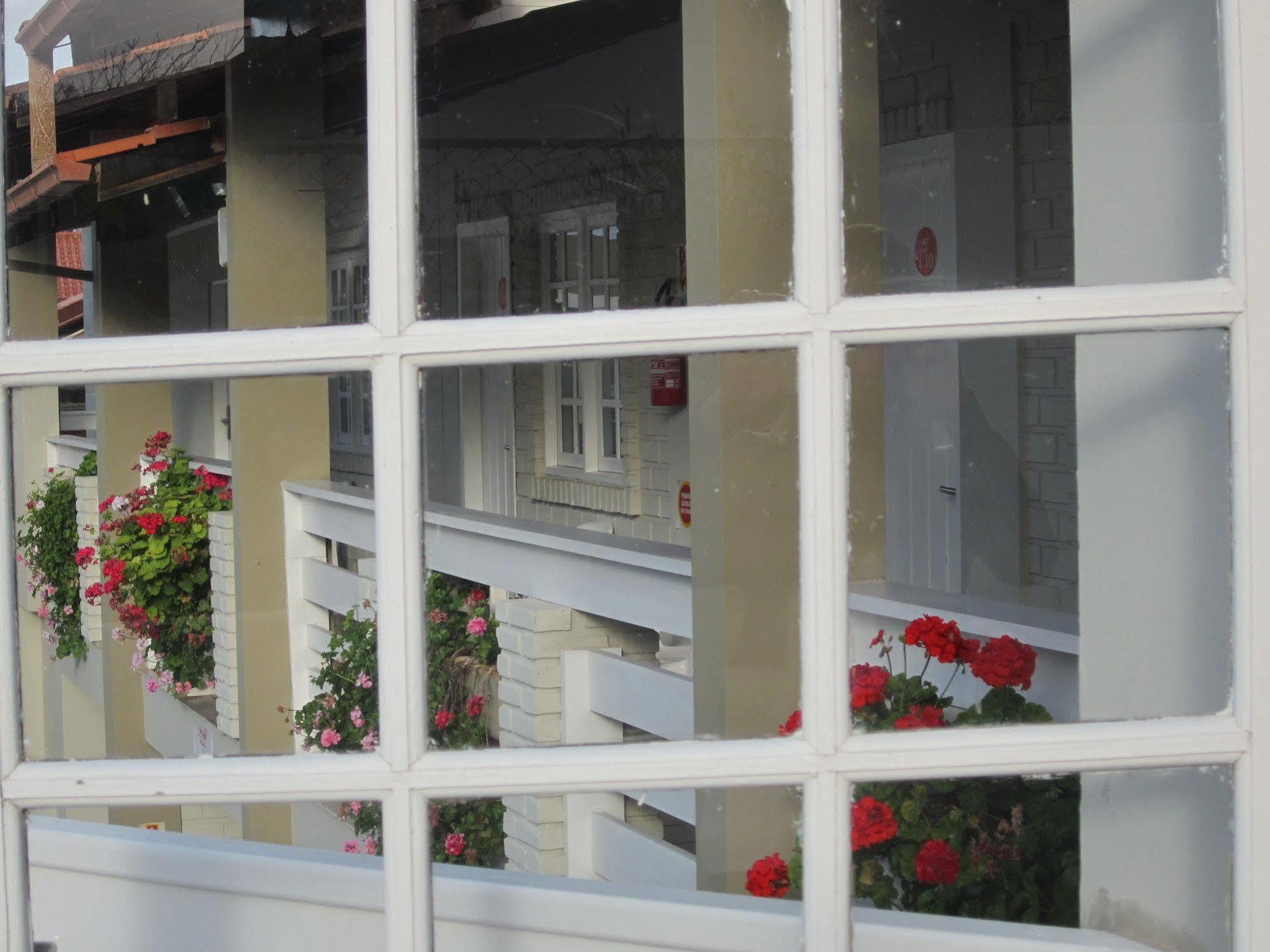 Hotel Geranius Dos Ingleses 4*